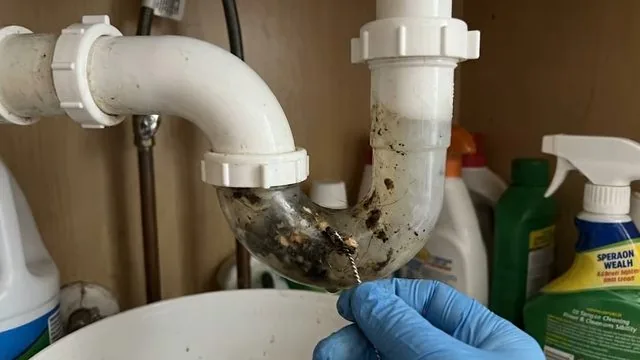 Gloved hand holding a grimy P-trap over a bucket near cleaning bottles