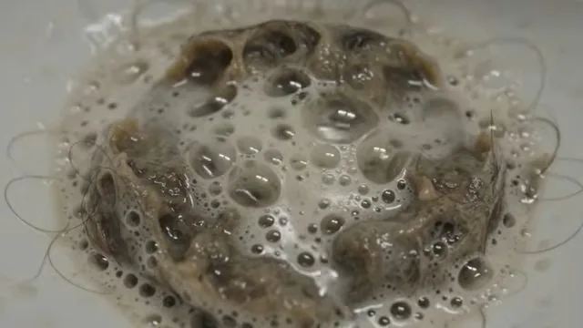 Close view of a drain strainer covered in hair and foamy water