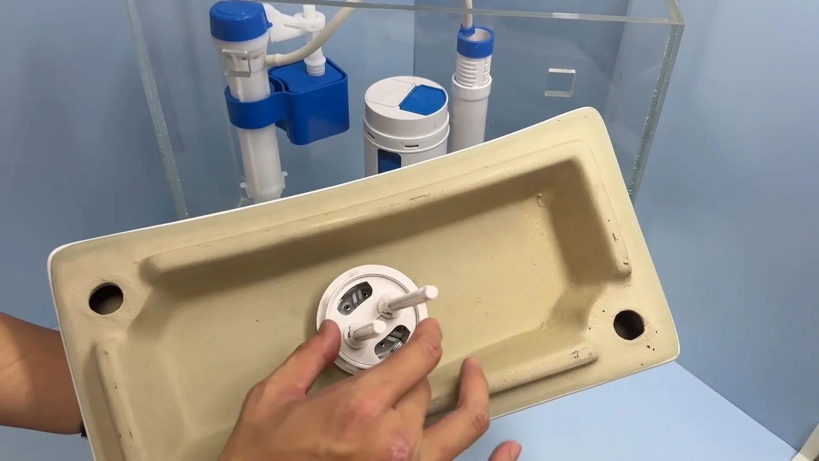 Hands holding the lid of a clear acrylic demonstration toilet tank with the flush valve and fill valve visible