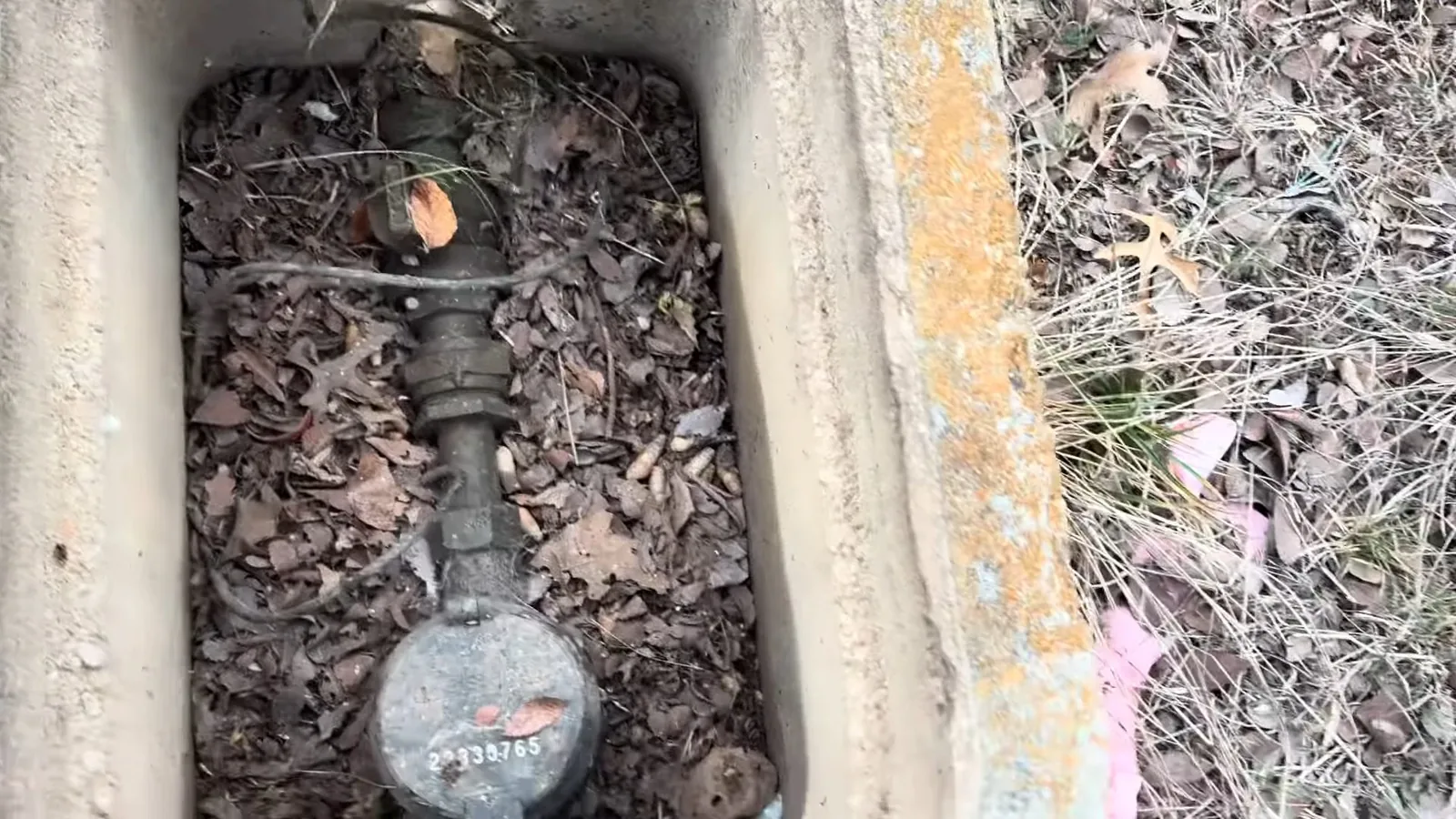 Water meter in an in-ground box with leaves covering the lid opening